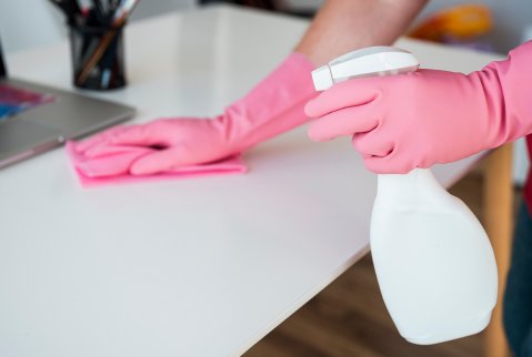 Regular Maintenance Cleaning